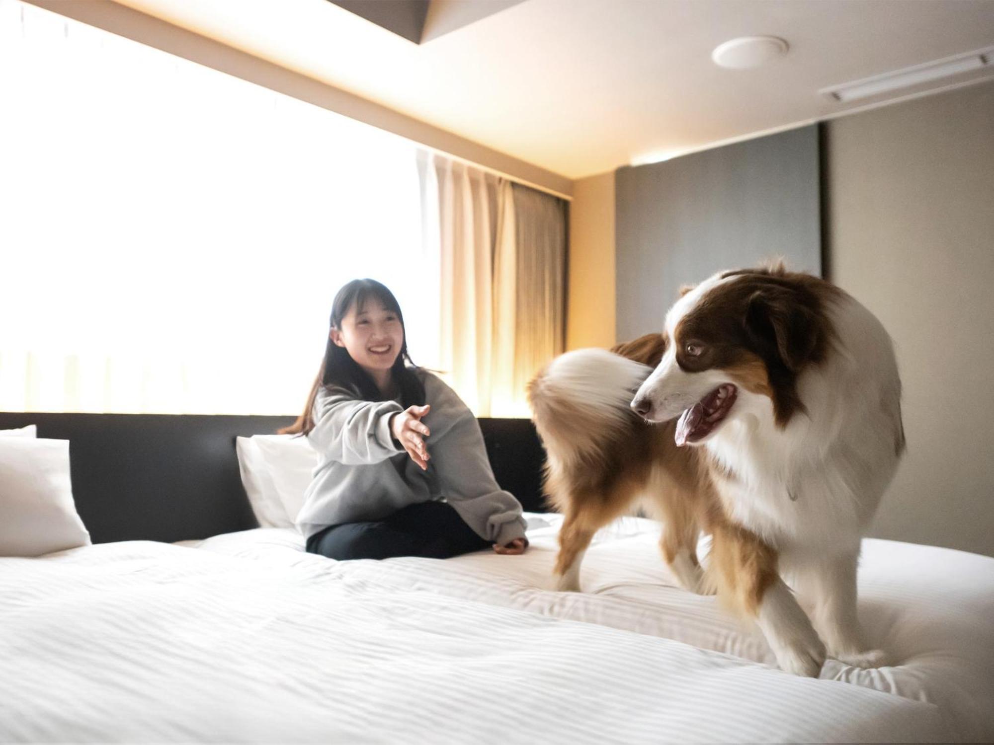 Hotel Anddoggy Kyoto Nijo Exterior foto